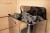 Harvia_TheWall_SW45E-SW60E_d1.jpg